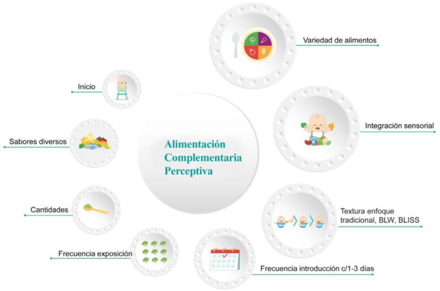 Recomendación de alimentación complementaria, lactantes sanos